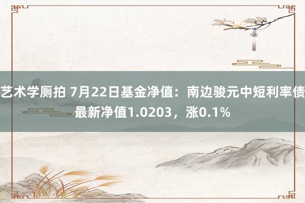 艺术学厕拍 7月22日基金净值：南边骏元中短利率债最新净值1.0203，涨0.1%