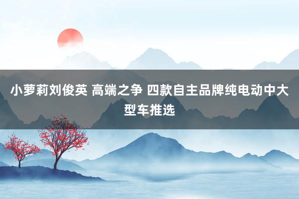 小萝莉刘俊英 高端之争 四款自主品牌纯电动中大型车推选
