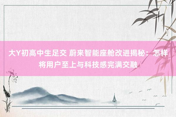 大Y初高中生足交 蔚来智能座舱改进揭秘：怎样将用户至上与科技感完满交融