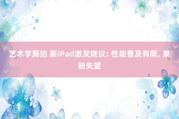 艺术学厕拍 新iPad激发烧议: 性能普及有限, 果粉失望