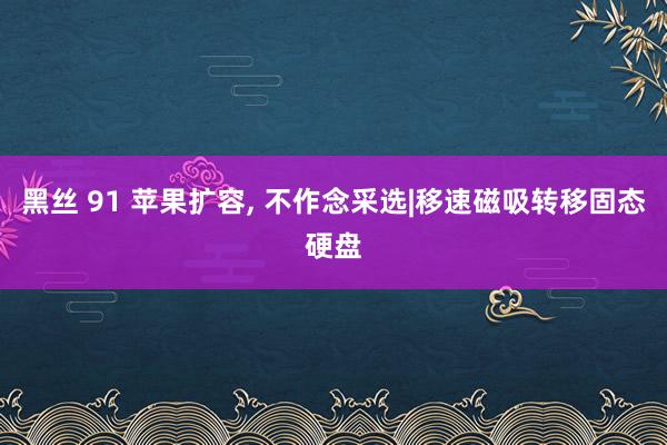 黑丝 91 苹果扩容, 不作念采选|移速磁吸转移固态硬盘